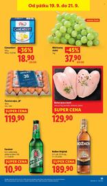Lidl leták Strana 49