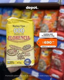 Catálogo Depot Express Página 3
