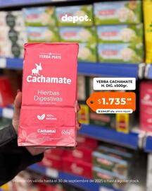 Catálogo Depot Express Página 5