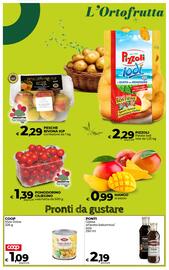 Volantino Ipercoop Radenza Pagina 29