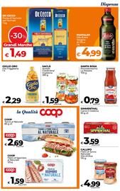 Volantino Ipercoop Radenza Pagina 41