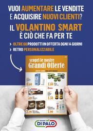 Volantino Gruppo di Palo Pagina 40