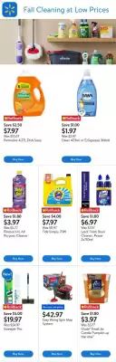 Walmart flyer (valid until 25-09)