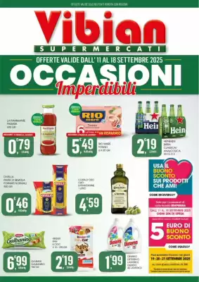 Volantino Vibian (valido fino al 18-09)