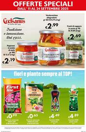 Volantino Maxi Supermercati Pagina 13