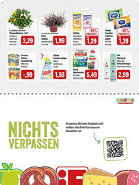 Feneberg Prospekt Seite 8