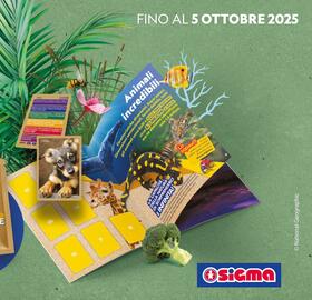 Volantino Sigma Superstore Pagina 7