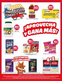 Catálogo Zorro Página 13