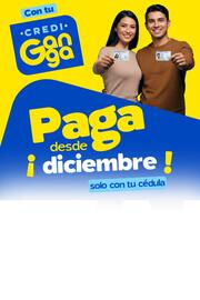 Catálogo La Ganga Página 1