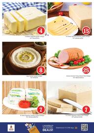 Nesto catalogue Page 14