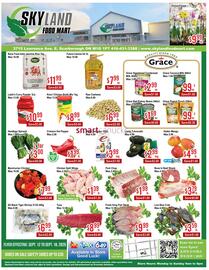 Skyland Foodmart flyer week 37 Page 1