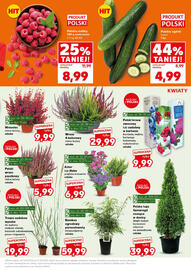 Kaufland gazetka Strona 5