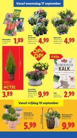 Lidl folder week 38 Pagina 31