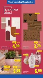 Lidl folder week 38 Pagina 37