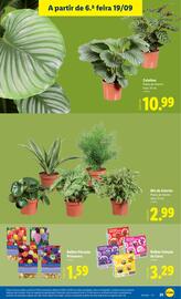 Folheto Lidl semana 38 Página 25