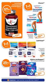 Trekpleister folder Pagina 32