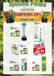 Volantino Zoomiguana Pagina 11