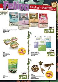 Volantino Zoomiguana Pagina 7