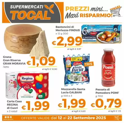 Volantino Tocal (valido fino al 22-09)