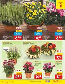 Netto Marken-Discount DE folder week 38 Pagina 8