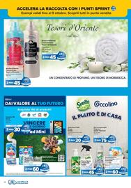 Volantino Carrefour | Punti Sprint Payback Pagina 14
