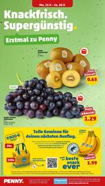 PENNY Prospekt woche 38 Seite 2