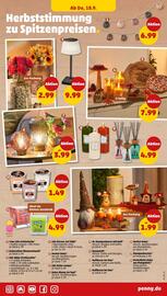 PENNY Prospekt woche 38 Seite 25