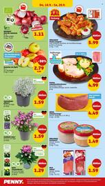 PENNY Prospekt woche 38 Seite 30