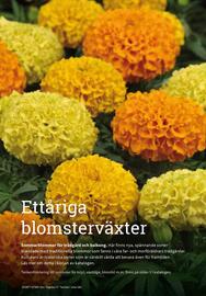 Granngården kampanjblad Sida 101