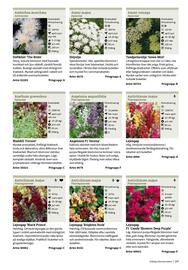 Granngården kampanjblad Sida 107