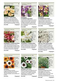 Granngården kampanjblad Sida 111