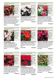Granngården kampanjblad Sida 113