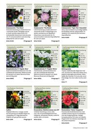 Granngården kampanjblad Sida 121