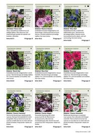 Granngården kampanjblad Sida 123