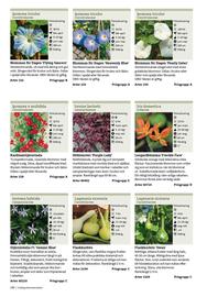 Granngården kampanjblad Sida 150
