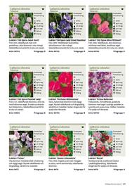 Granngården kampanjblad Sida 153