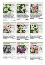 Granngården kampanjblad Sida 155