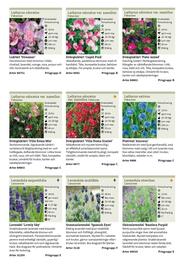 Granngården kampanjblad Sida 156