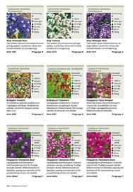 Granngården kampanjblad Sida 158