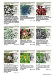 Granngården kampanjblad Sida 161