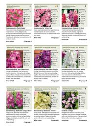 Granngården kampanjblad Sida 163