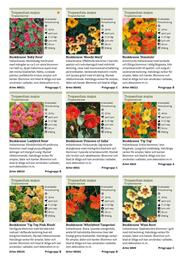 Granngården kampanjblad Sida 194