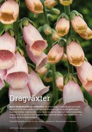 Granngården kampanjblad Sida 203