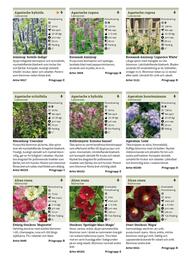 Granngården kampanjblad Sida 205