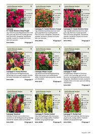 Granngården kampanjblad Sida 207