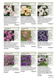 Granngården kampanjblad Sida 209