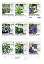 Granngården kampanjblad Sida 210