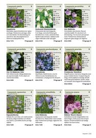 Granngården kampanjblad Sida 211