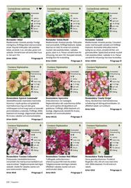 Granngården kampanjblad Sida 214