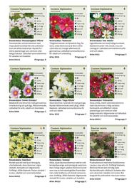 Granngården kampanjblad Sida 215